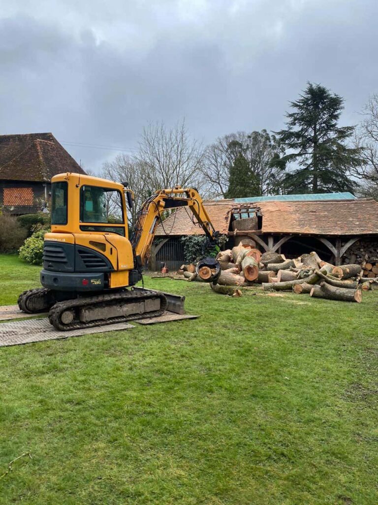 This is a photo of a tree which has grown through the roof of a barn that is being cut down and removed. There is a digger that is removing sections of the tree as well. Heanor Tree Surgeons