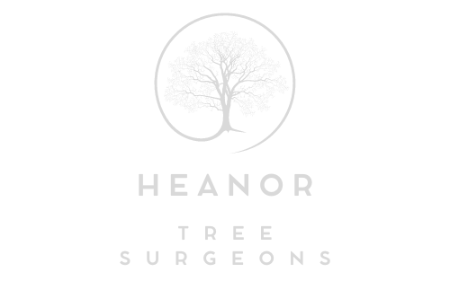 Heanor Tree Surgeons